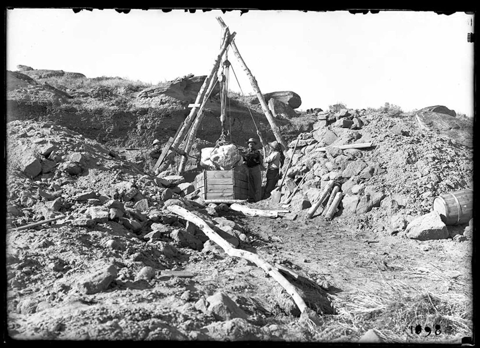 Boxing a T. rex pelvis found in Montana.
