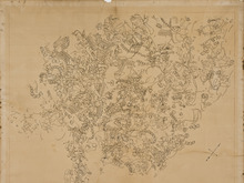 An area of dry brown soil revealing the partially excavated fossils of hundreds of bones and skeletons jumbled together.