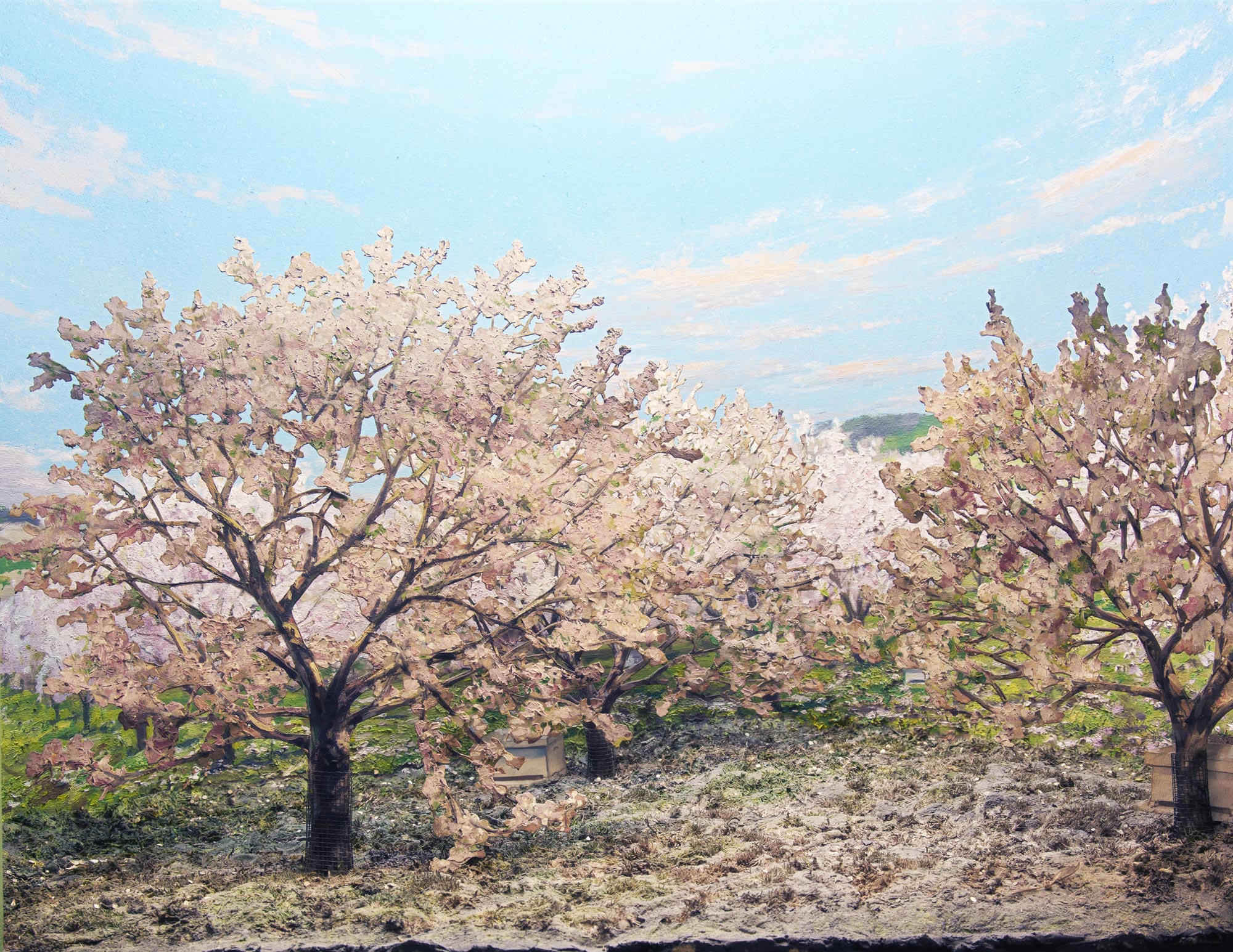 Diorama of a flowering apple orchard.