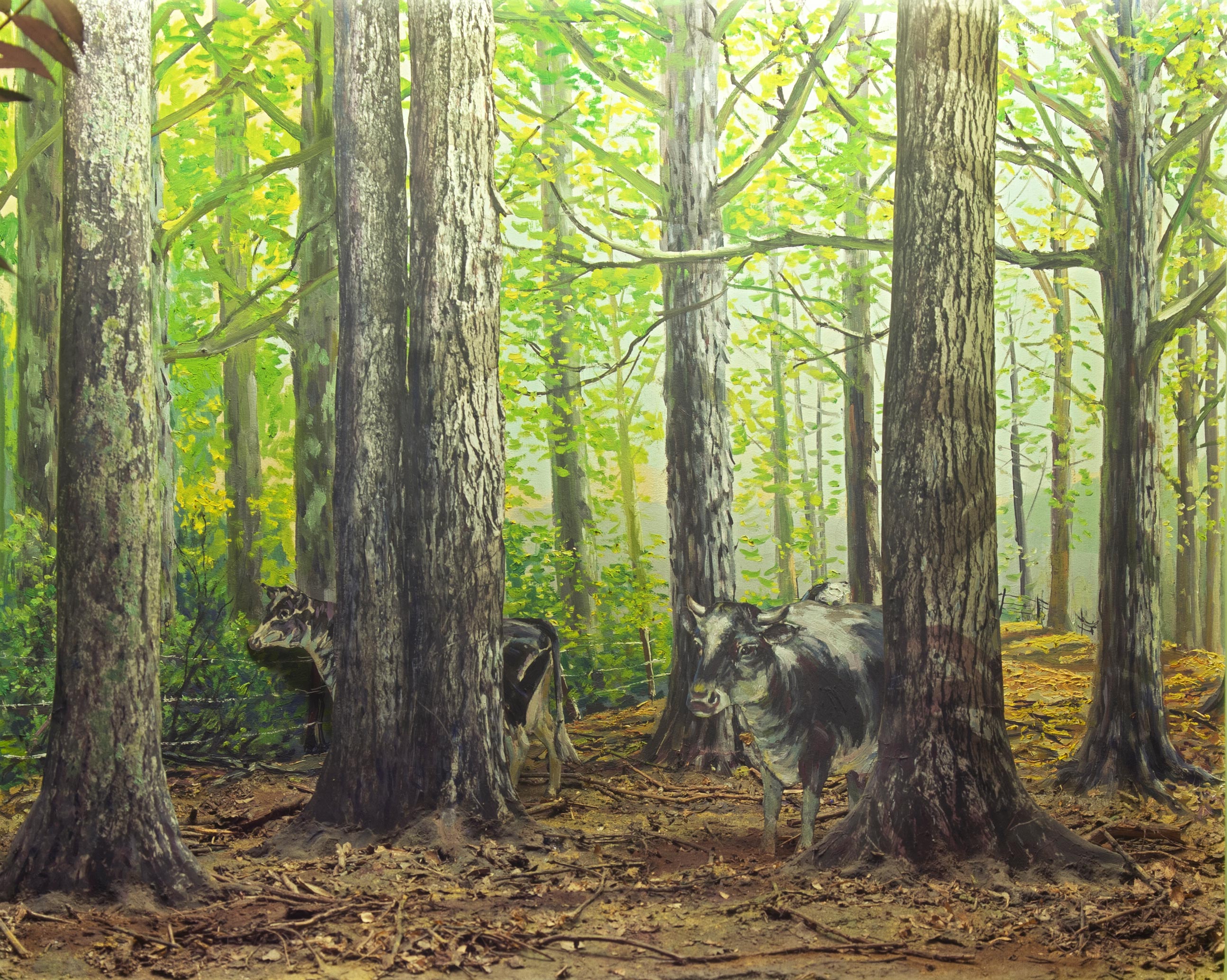 Diorama showing overgrazed forest and cows.
