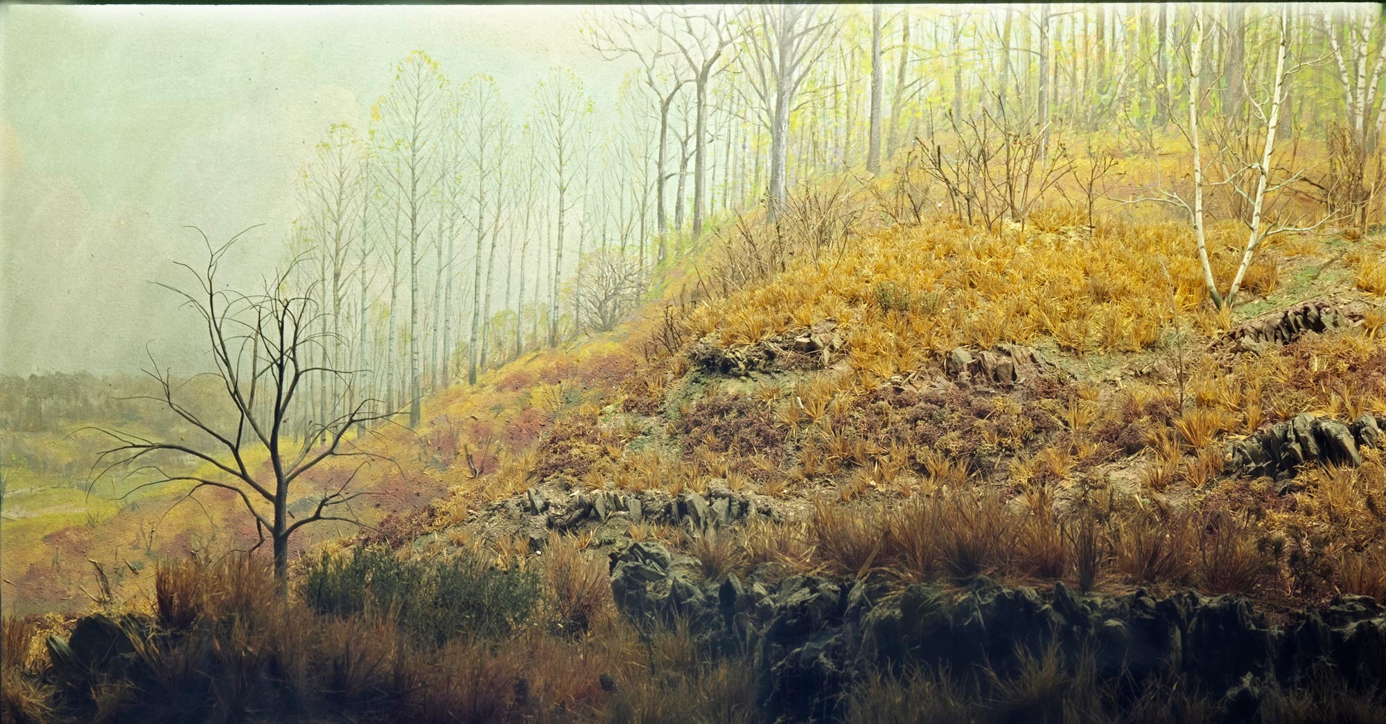 Model of an eroded hill with few trees and bushes.