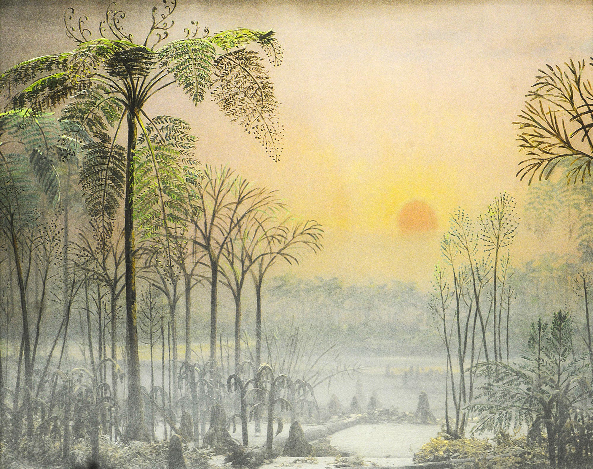 Diorama illustrating devonian plants