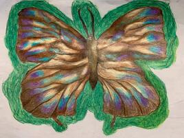 illustration of a Taiwan Beech Hairstreak butterfly