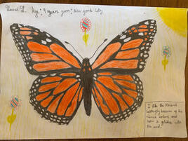 illustration of monarch butterflies and flowers sprinkled around