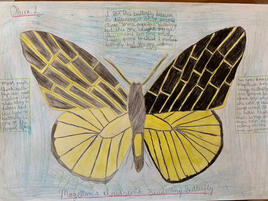 geometric style illustration of Magellan Birdwing Butterfly