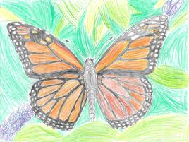 illustration if monarch with background of leaves and branches