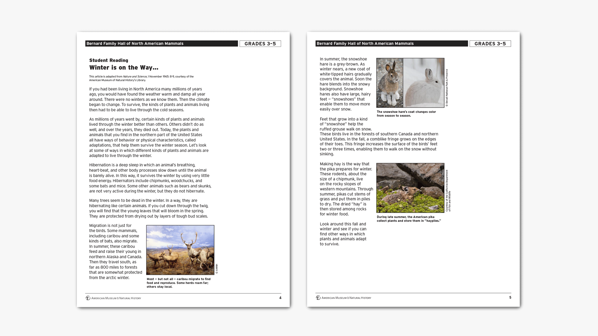 honam-student-reading-pages